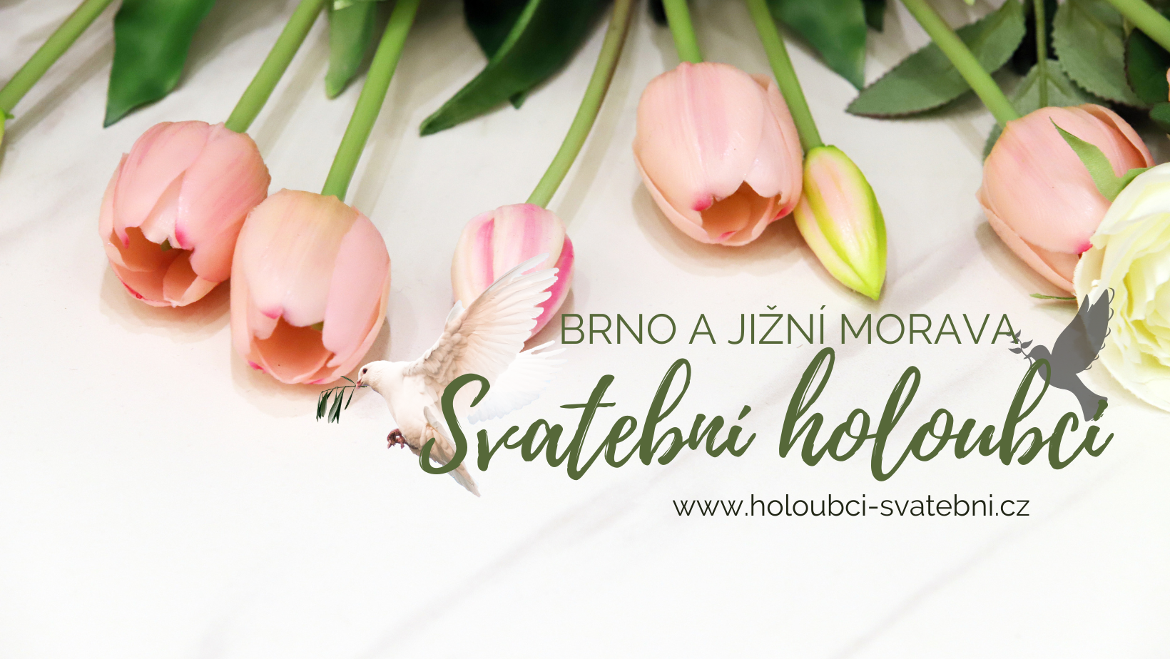 Svatební holoubci